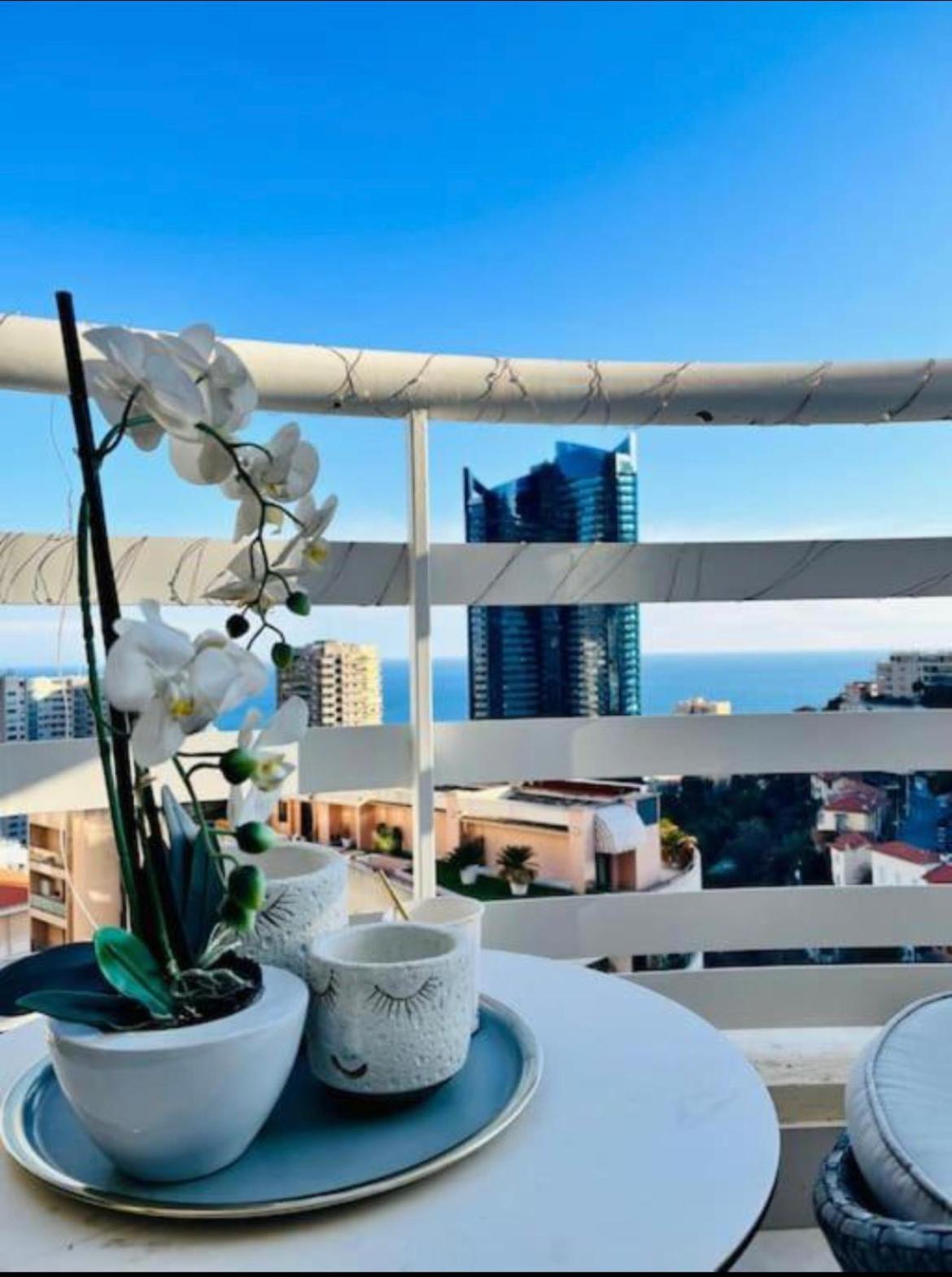 Appartement Reve Au 7e Ciel Piscine Baie De Monaco